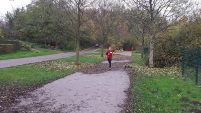 Foto des Albums: Cross-Kreismeisterschaften Prenzlau, 15.11.2014