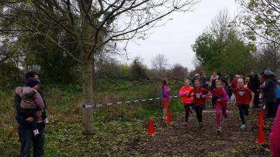 Foto des Albums: Cross-Kreismeisterschaften Prenzlau, 15.11.2014