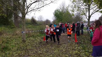 Foto des Albums: Cross-Kreismeisterschaften Prenzlau, 15.11.2014
