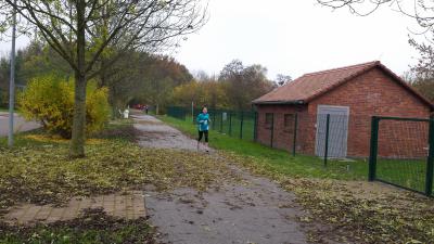 Foto des Albums: Cross-Kreismeisterschaften Prenzlau, 15.11.2014