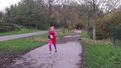 Foto des Albums: Cross-Kreismeisterschaften Prenzlau, 15.11.2014