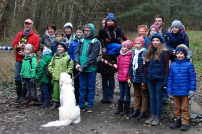 Foto des Albums: Entkusselung Wulmstorfer Heide - Herbst 2014