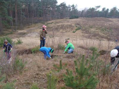 Foto des Albums: Entkusselung Wulmstorfer Heide - Herbst 2014