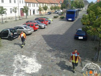 mit Bindemittel abgestreute Fl&auml;che 