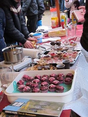 Foto des Albums: Weihnachtsmarkt 29.11.2014