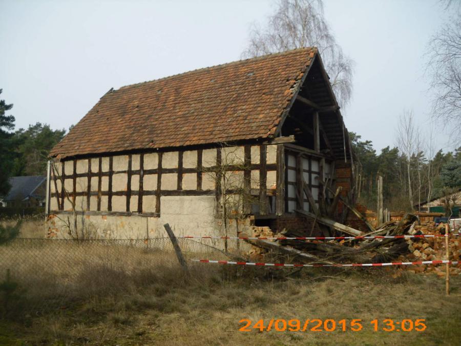 Bild der Galerie