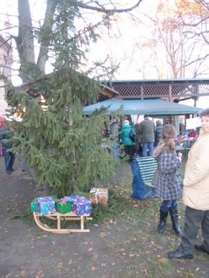 Foto des Albums: Weihnachtsmarkt Frose