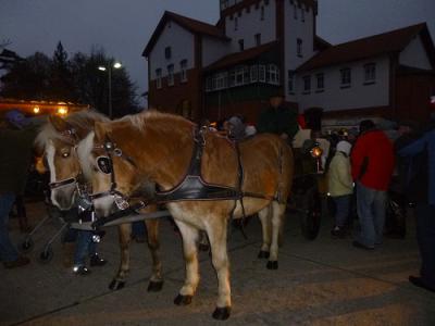 Foto des Albums: Weihnachtsmarkt Hoym