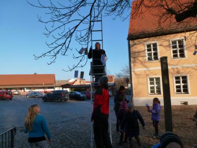 Foto des Albums: Schmücken der Esche