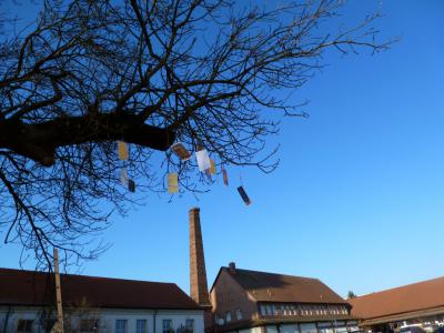 Foto des Albums: Schmücken der Esche