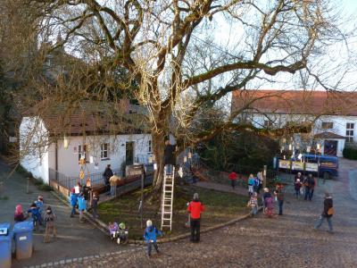 Foto des Albums: Schmücken der Esche