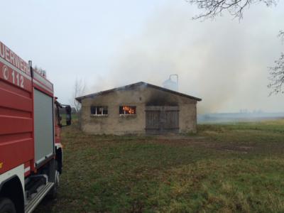Foto des Albums: Einsatz 2699 - B: Landwirt 16775 Buberow