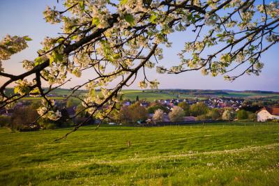 Bindsachsen  (Bild vergr&ouml;&szlig;ern)