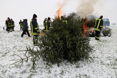 Foto des Albums: Weihnachtsbaumverbrennen der Jugendfeuerwehr (24.01.2015)