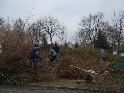 Foto des Albums: Arbeitseinsatz am Butzower Ehrenmal (25.01.2015)