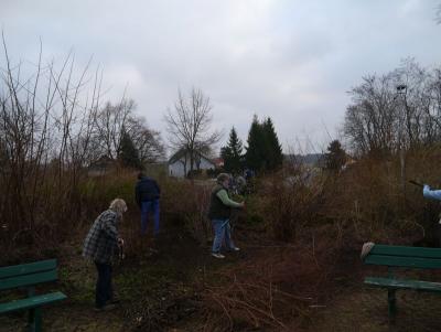 Foto des Albums: Arbeitseinsatz am Butzower Ehrenmal (25.01.2015)