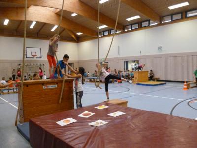 Foto des Albums: Nonsensolympiade- Im Dschungel
