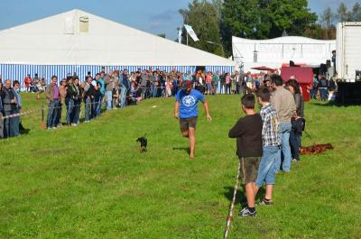 Foto des Albums: Volksfest 2014