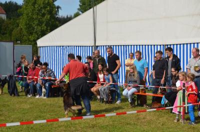 Foto des Albums: Volksfest 2014