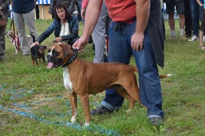 Foto des Albums: Volksfest 2014