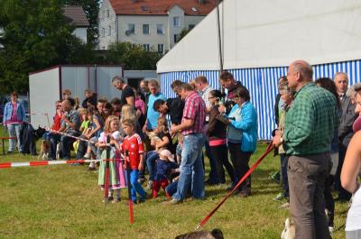 Foto des Albums: Volksfest 2014