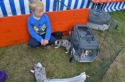 Foto des Albums: Volksfest 2014