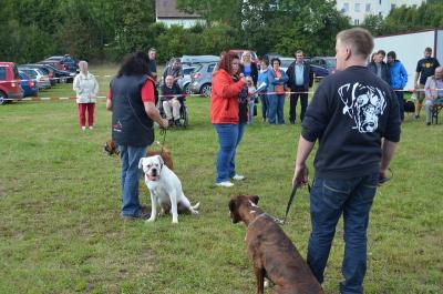 Foto des Albums: Volksfest 2014