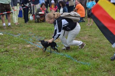 Foto des Albums: Volksfest 2014