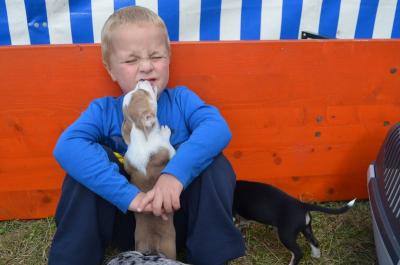 Foto des Albums: Volksfest 2014