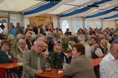 Foto des Albums: Volksfest 2014