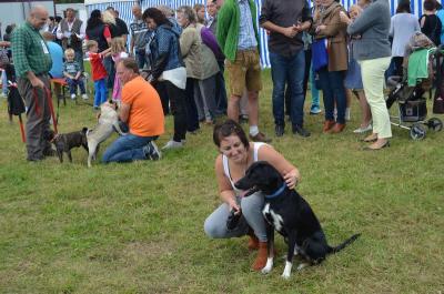Foto des Albums: Volksfest 2014