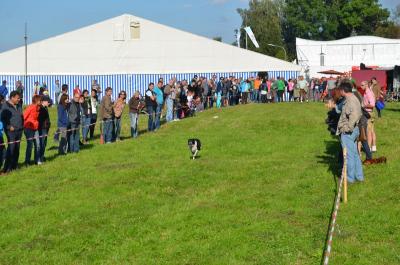 Foto des Albums: Volksfest 2014