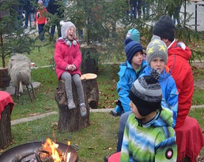 Foto des Albums: Christkindlmarkt 2014