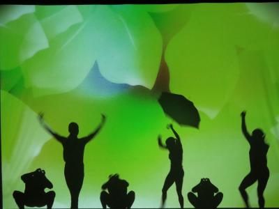 Foto des Albums: Amazing Shadows
