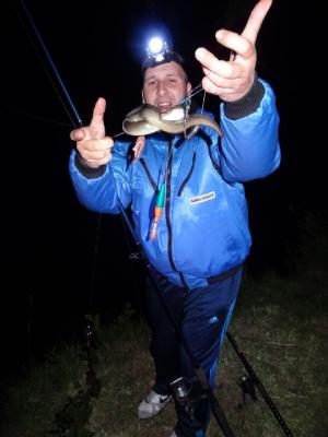 Foto des Albums: Nachtangeln