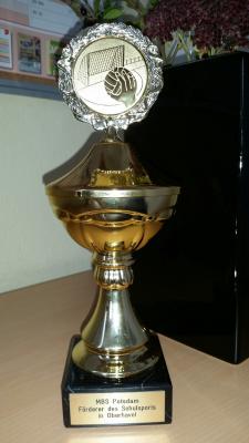 Foto des Albums: JtfO Handball männlich 2014 / 2015