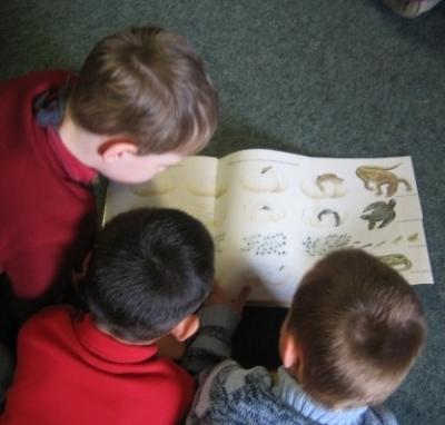 Lesende Kinder 