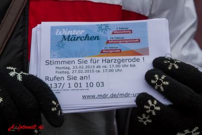 Foto des Albums: Impressionen vom Wintermärchen 2015 in Harzgerode (22. 02. 2015)