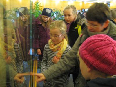 Foto des Albums: Besuch der Blockflötenfirma Moeck in Celle