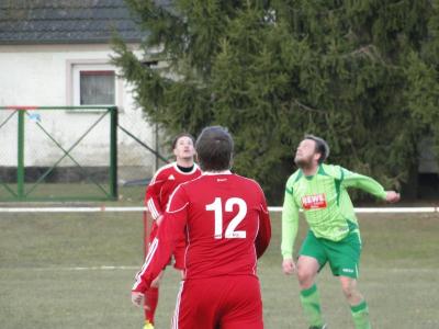 Foto des Albums: HSV - Bärenklau