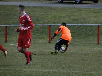 Foto des Albums: HSV - Bärenklau