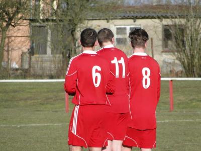 Foto des Albums: HSV - Bärenklau