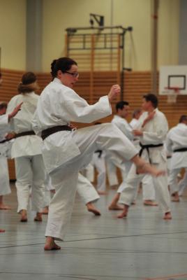 Foto des Albums: Lehrgang mit Shihan Ochi in Wattenscheid