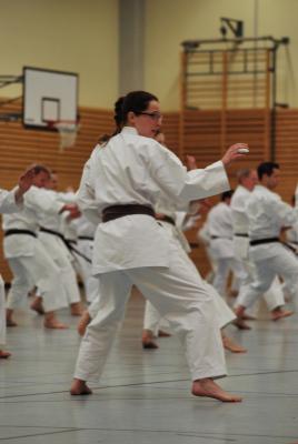 Foto des Albums: Lehrgang mit Shihan Ochi in Wattenscheid