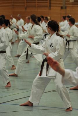 Foto des Albums: Lehrgang mit Shihan Ochi in Wattenscheid