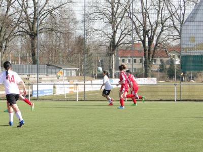 Foto des Albums: Zehdenick - HSV