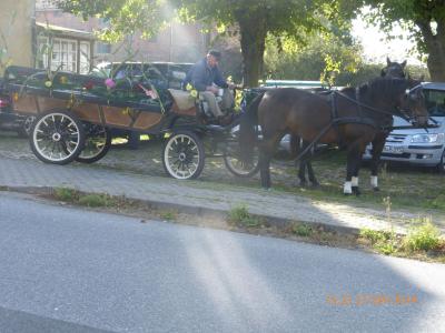 Foto des Albums: Erstes Gemeinde-Erntefest - MaGo