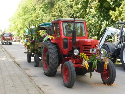 Foto des Albums: Erstes Gemeinde-Erntefest - MaGo