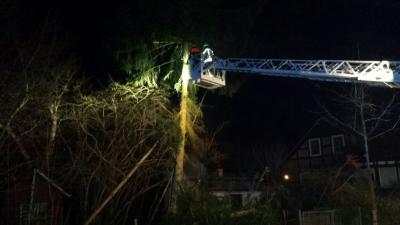 Foto des Albums: Einsatzbilder der Falkenseer Feuerwehr vom 31. März 2015
