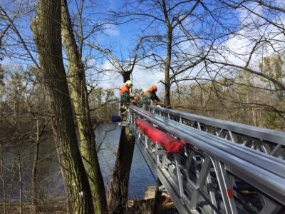 Foto des Albums: Einsatzbilder der Falkenseer Feuerwehr vom 31. März 2015